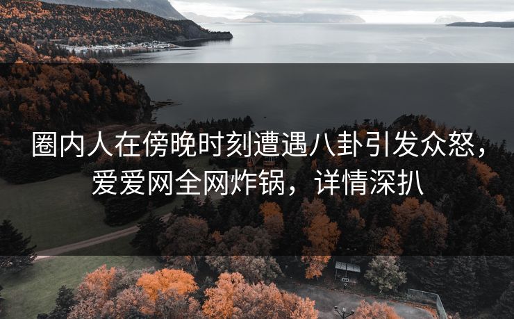 圈内人在傍晚时刻遭遇八卦引发众怒，爱爱网全网炸锅，详情深扒