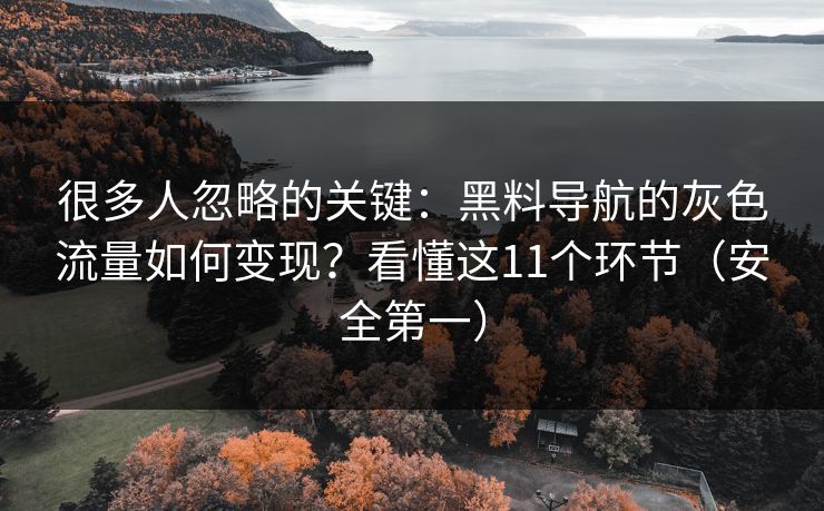很多人忽略的关键：黑料导航的灰色流量如何变现？看懂这11个环节（安全第一）