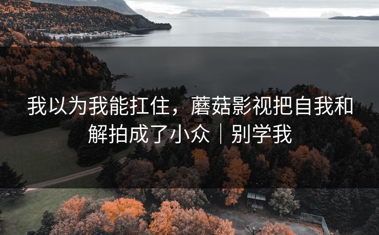 我以为我能扛住，蘑菇影视把自我和解拍成了小众｜别学我